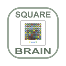 Square Brain Image