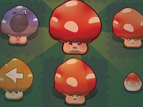 Mushroom Pop Image