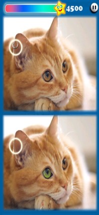 Photohut 2023 screenshot