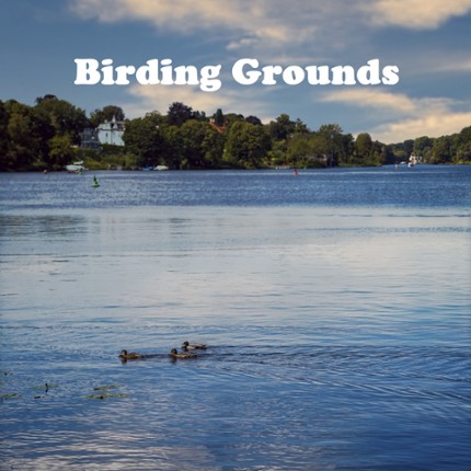 Birding Grounds Image