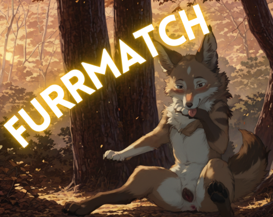 Furrmatch Image