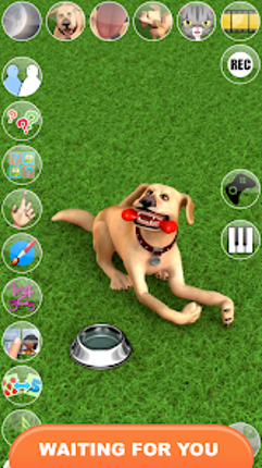 Talking John Dog: Funny Dog screenshot