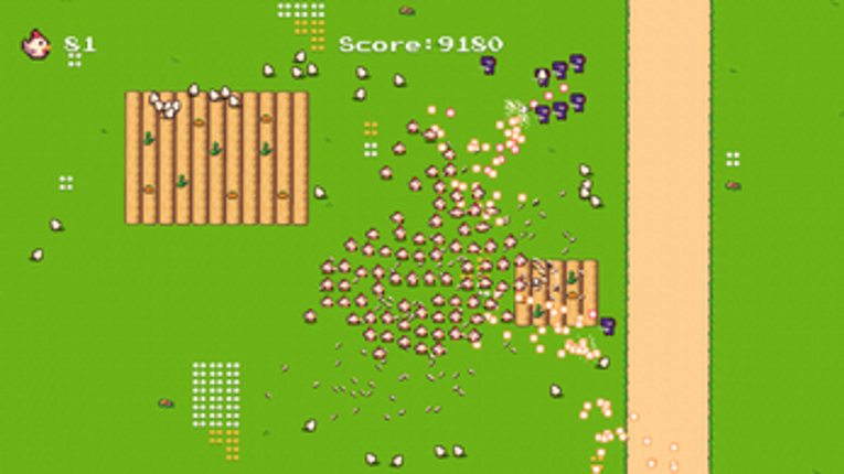 Chicken's Run Image