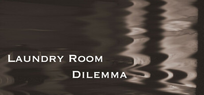 Laundry Room Dilemma Image
