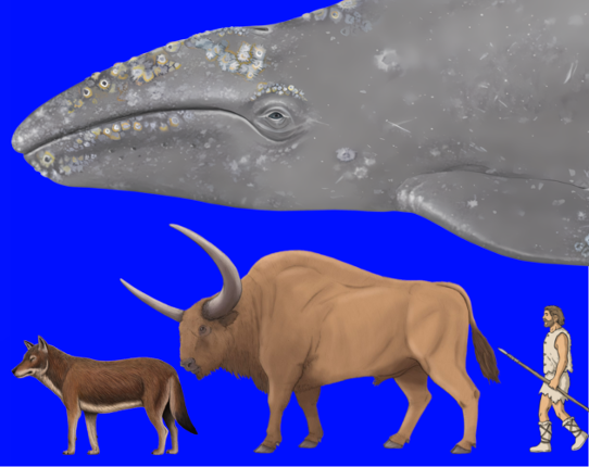 Prehistory Explorer Part 24 - Quaternary (Chibanian to Holocene) Image