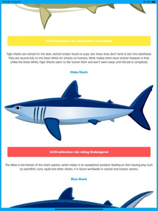 What Shark Am I? screenshot