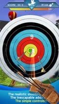 Archery Master 3D Advance Image