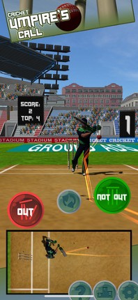 Umpires Call Image