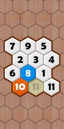 Hexa Puzzle Image