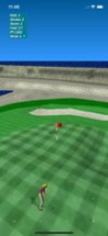 Par 3 Golf Lite Image