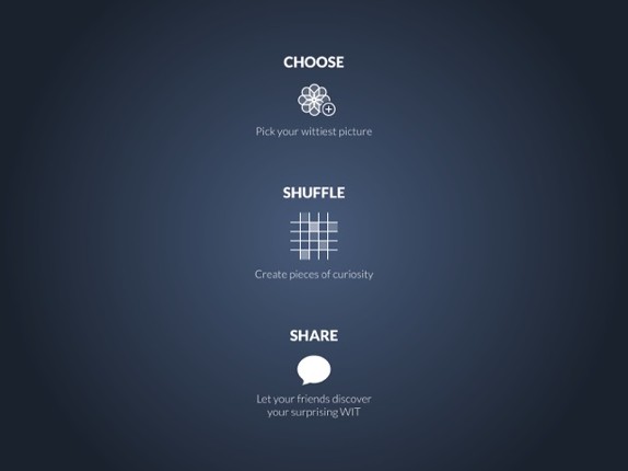 WIT • Puzzles Image