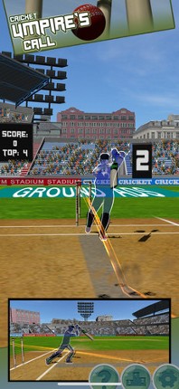 Umpires Call Image
