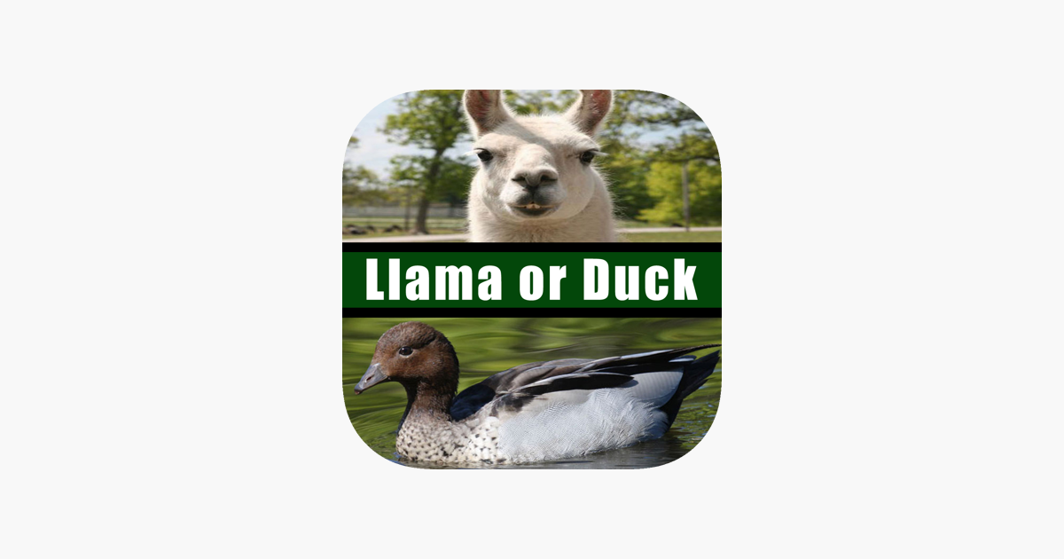 Games like Llama or Duck