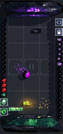 Pongo17 Image