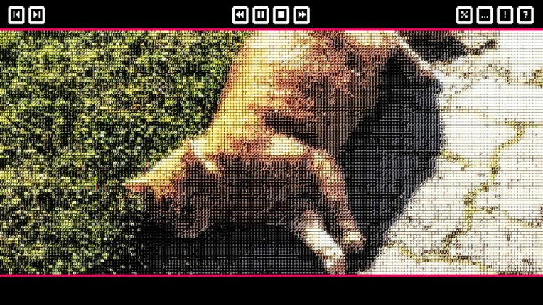 Push The Cat screenshot