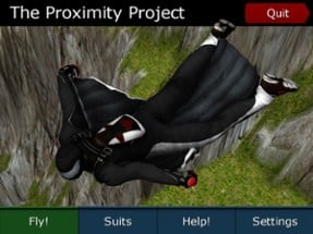 Wingsuit - Proximity Project Image