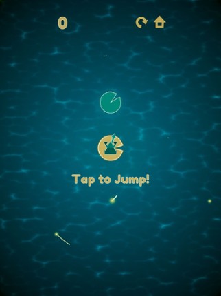 Dizzy Frog Image