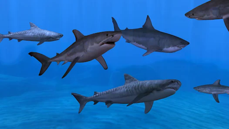 Fish Farm 3 - Aquarium Image