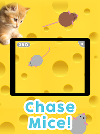 Games for Cats! screenshot