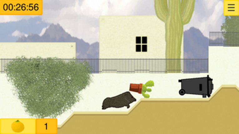 Javelina Run Image