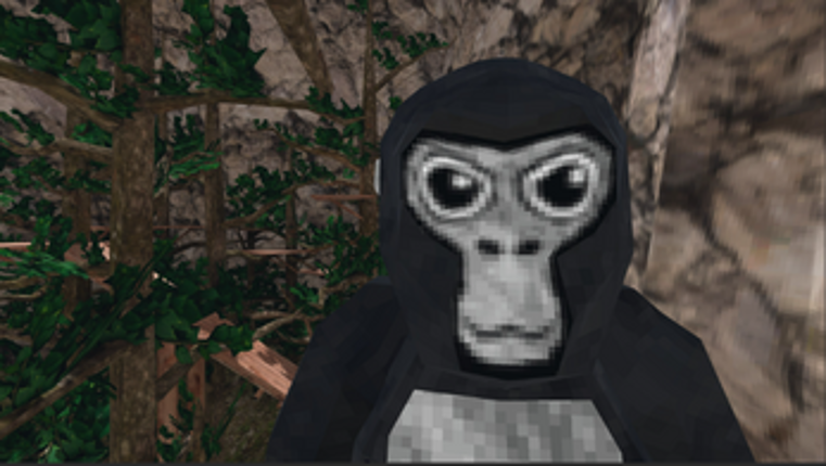 Gorilla Runners Image