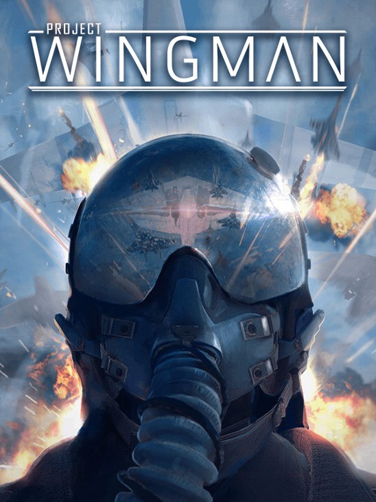 Games like Project Wingman