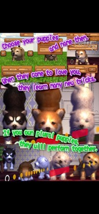 Animal Dance puppies screenshot