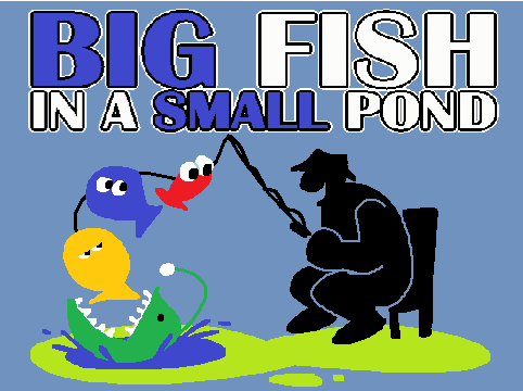 Games like Big Fish in a Small Pond