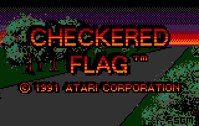 Checkered Flag Image