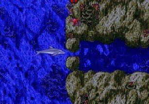 Ecco the Dolphin Image