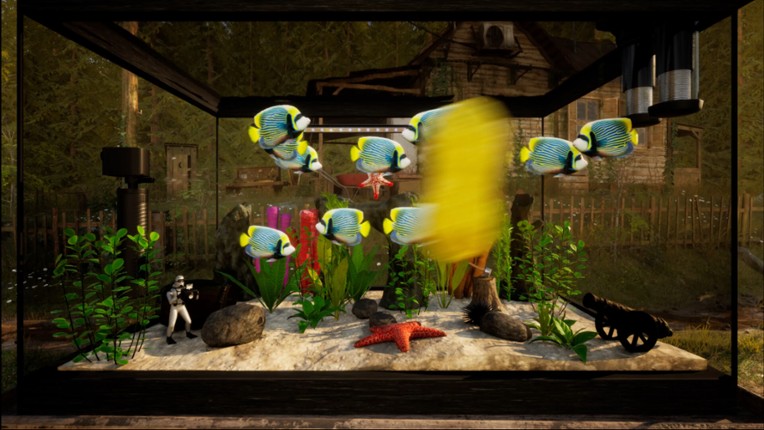 Fish Fortune Image