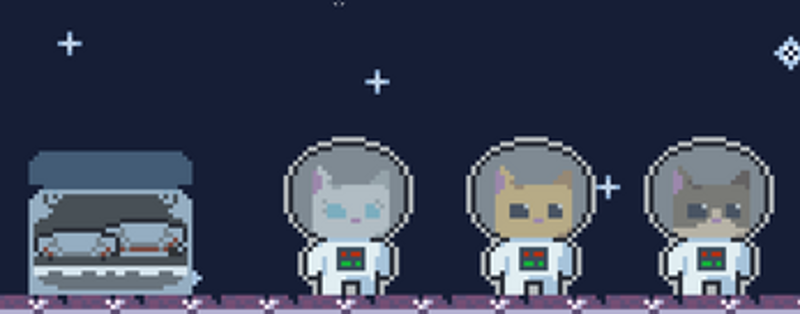 Spacial Fury Cats Image