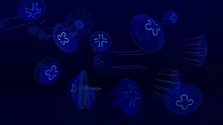 Fish Farm 3 - Aquarium screenshot