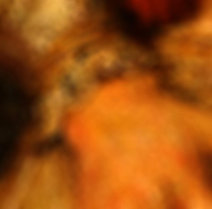 prodigal son Image