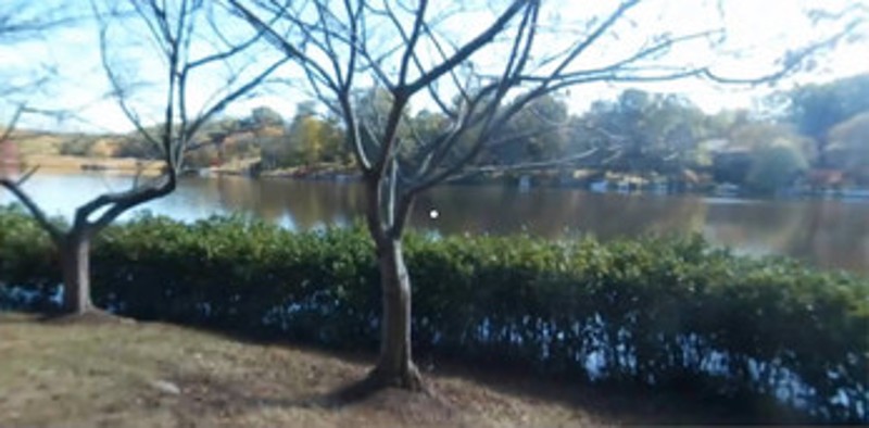 Reston Dog Spotter VR Image