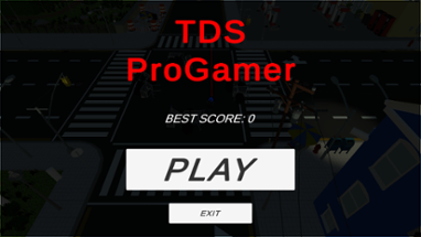 TDS Pros Gamer Image