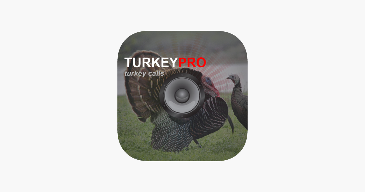 Games like Turkey Calls - Turkey Sounds - Turkey Caller App