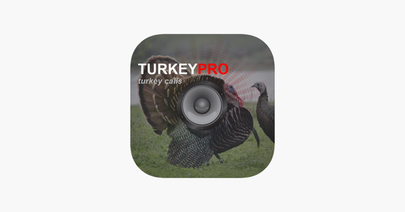 Turkey Calls - Turkey Sounds - Turkey Caller App Image