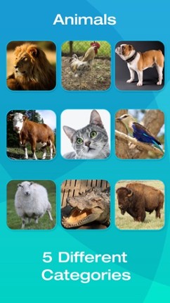 Animal and Tool Flashcards for Babies or Toddlers screenshot