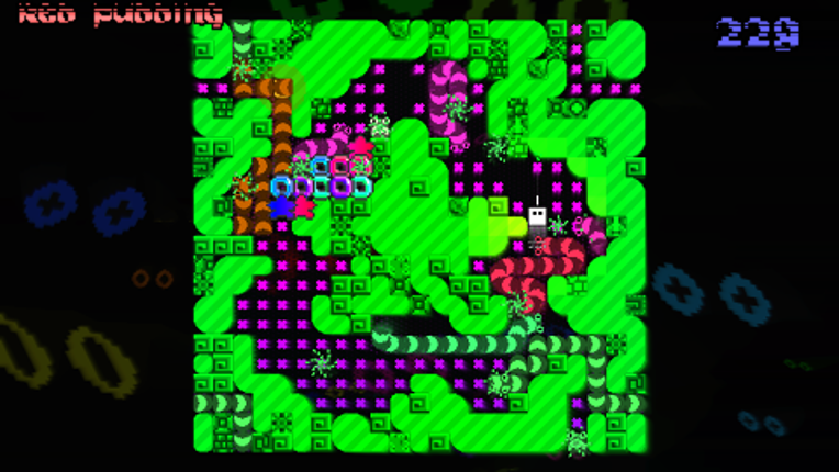 Forget-Me-Not R Image