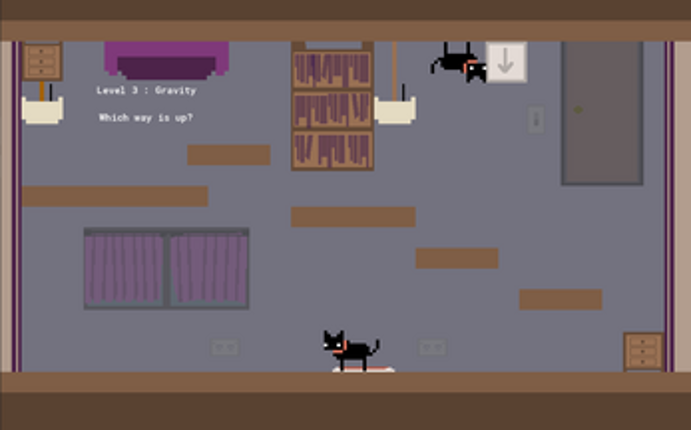 Cats Squared screenshot