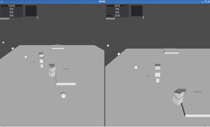 Project_Duke screenshot