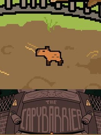 The Capybarrier Image