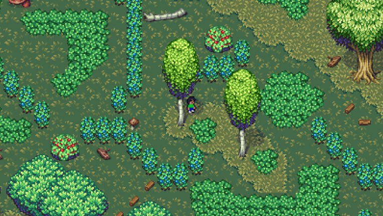 A Maze In Labyrinth Image