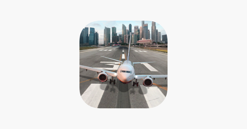 Emergency Landing Plane Image