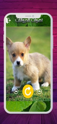 2020 اصوات الحيوانات Image