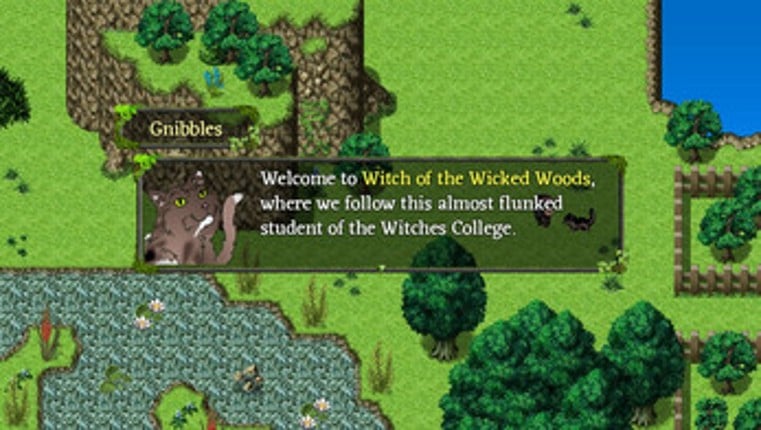 Witch of the Wicked Woods screenshot