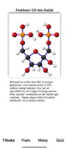 Glykolyse Image