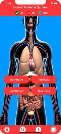 Human Anatomy Quizzes screenshot