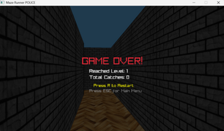 MazeRunnerPOLICE screenshot